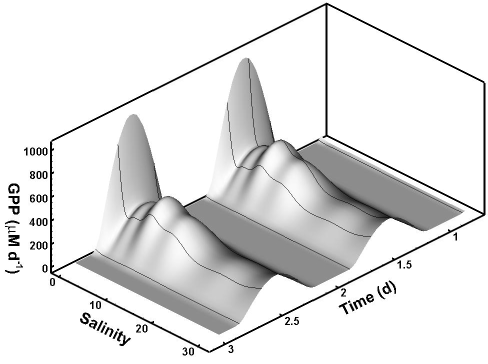 Metabolism Model