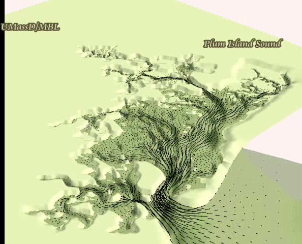 Tidal elevation and velocities